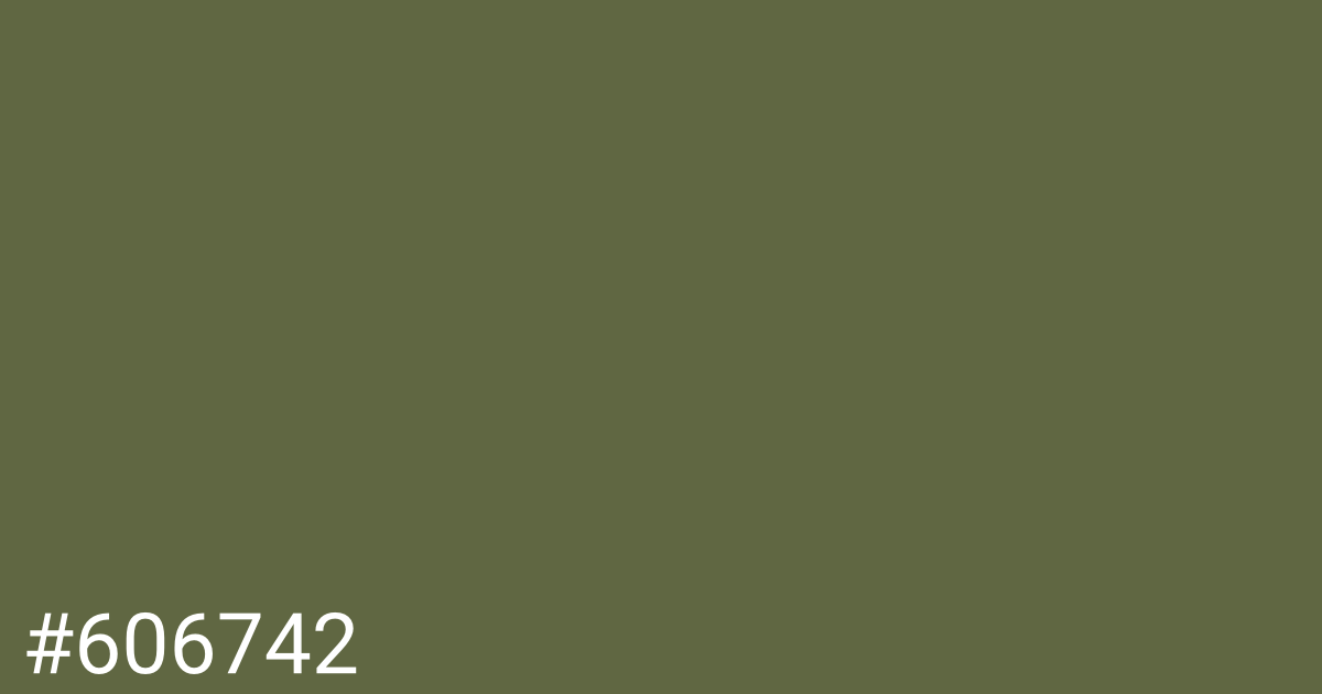 Hex color #606742 graphic