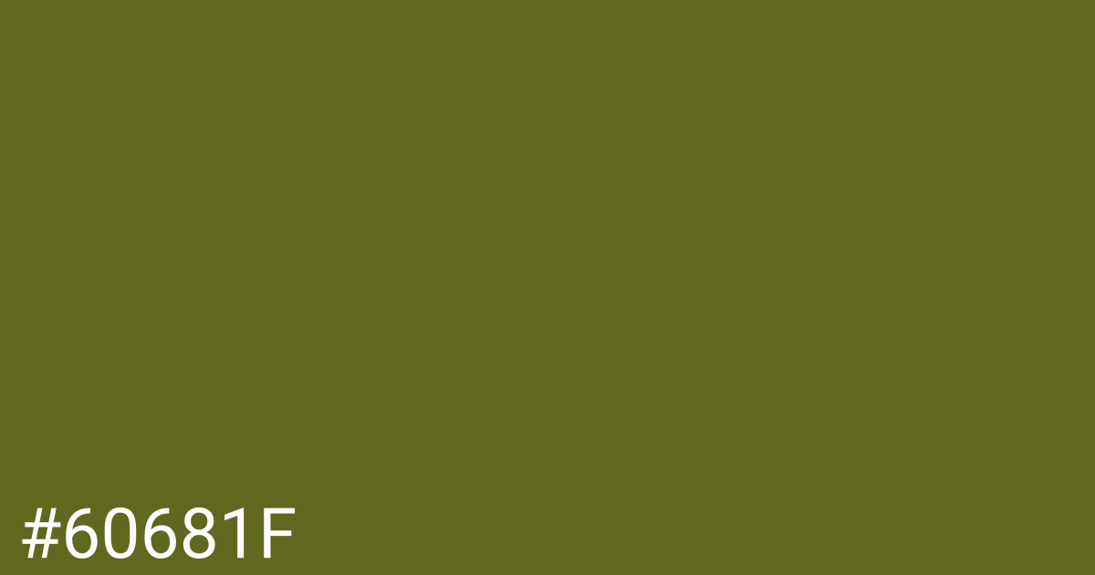 Hex color #60681f graphic