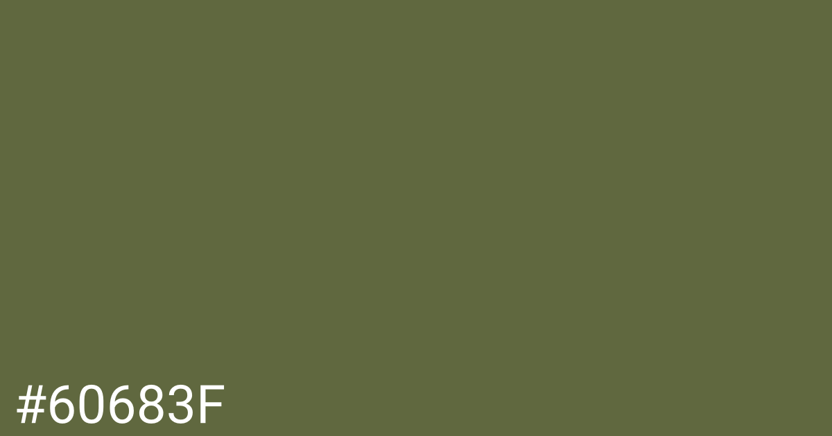 Hex color #60683f graphic