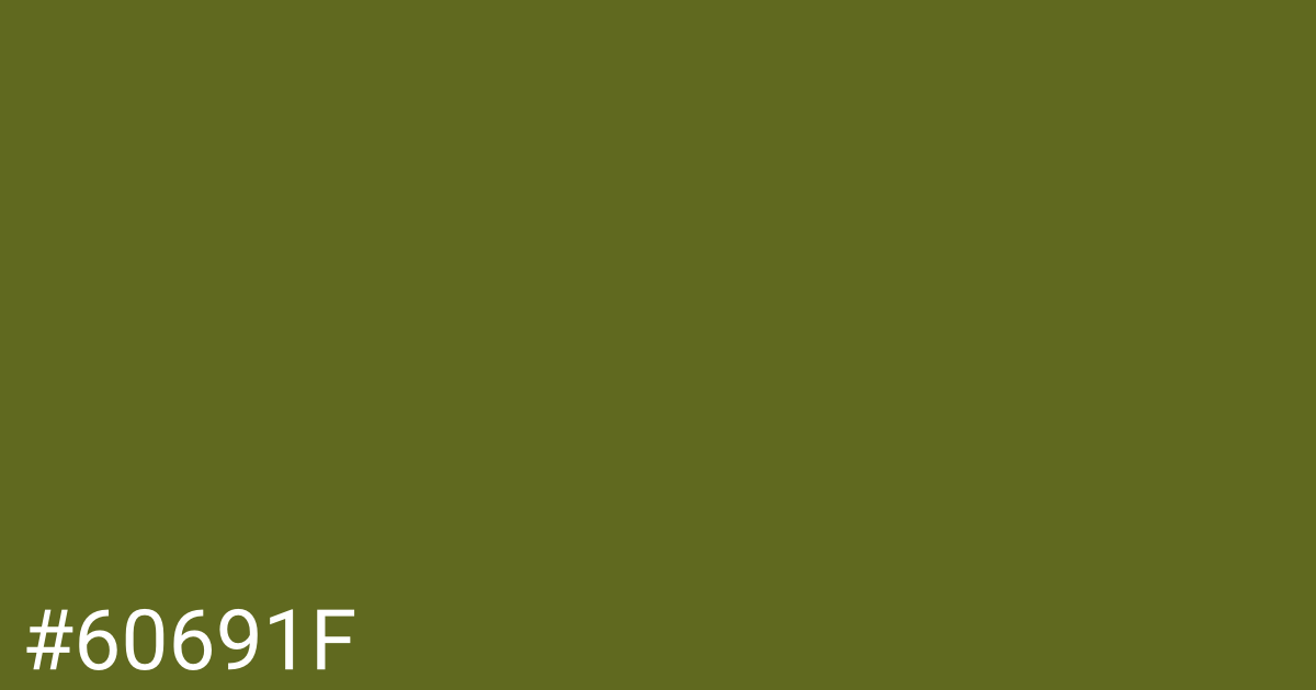 Hex color #60691f graphic