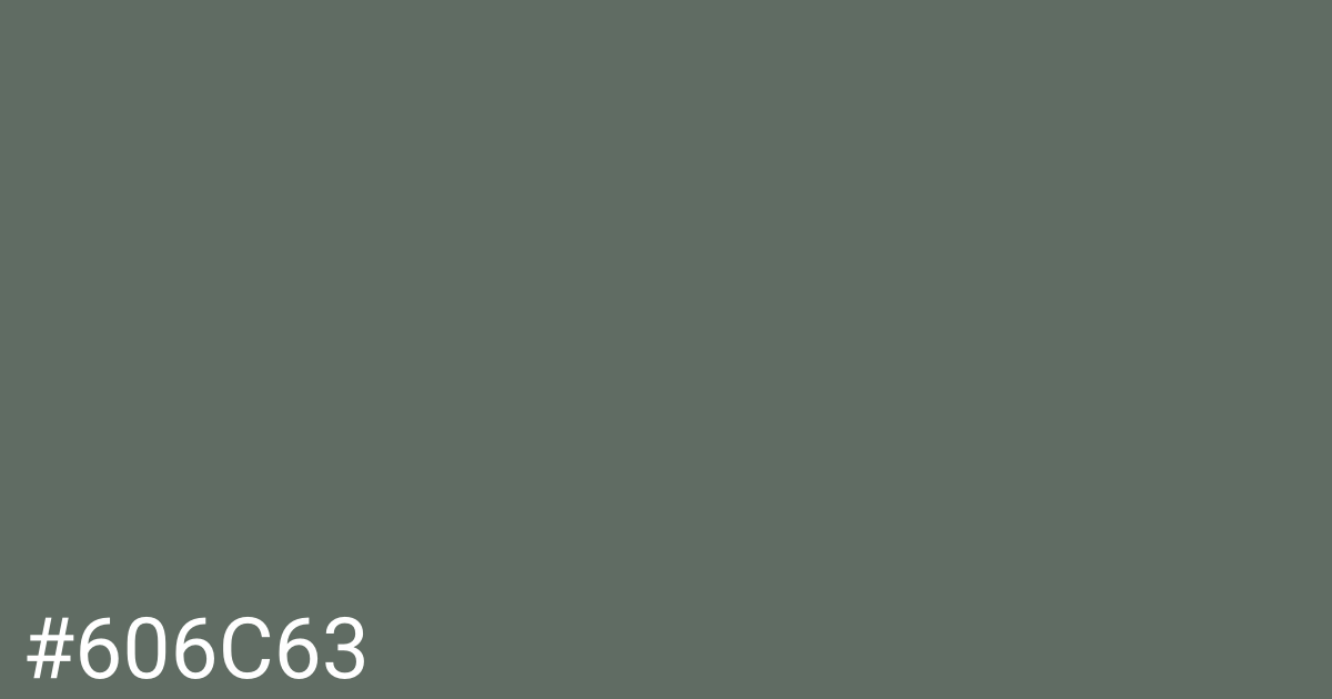 Hex color #606c63 graphic