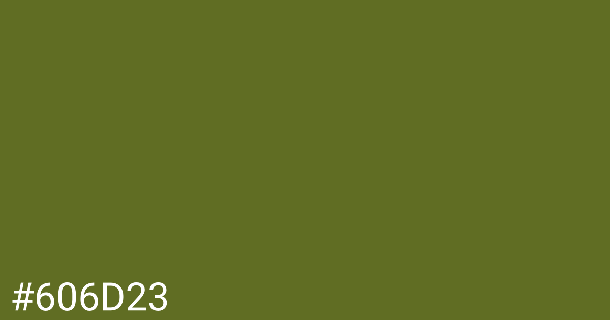 Hex color #606d23 graphic