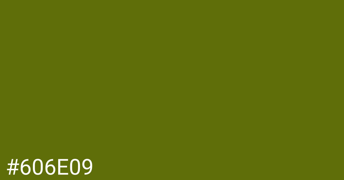 Hex color #606e09 graphic