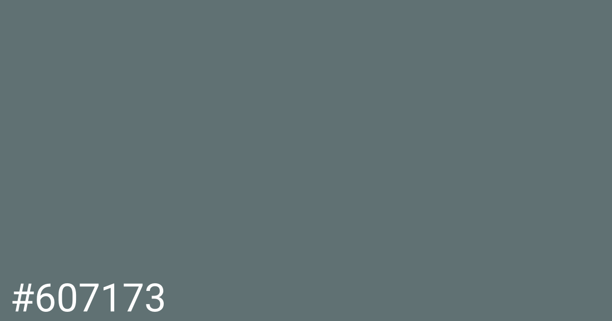 Hex color #607173 graphic