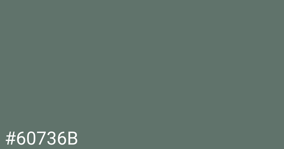 Hex color #60736b graphic