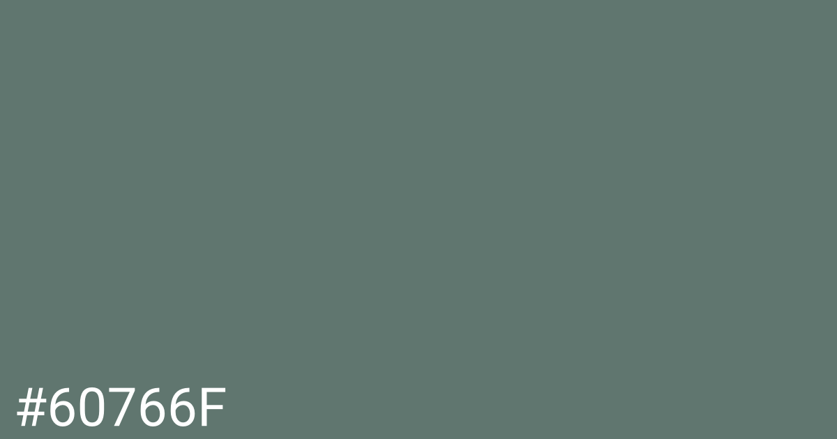 Hex color #60766f graphic