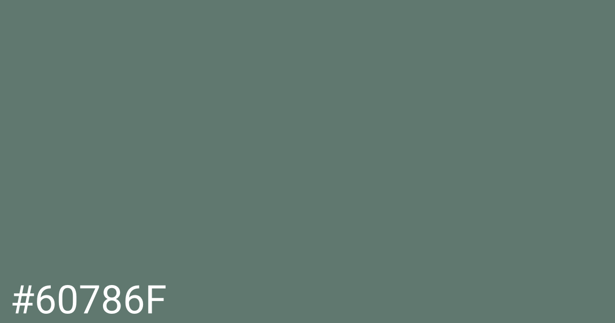 Hex color #60786f graphic