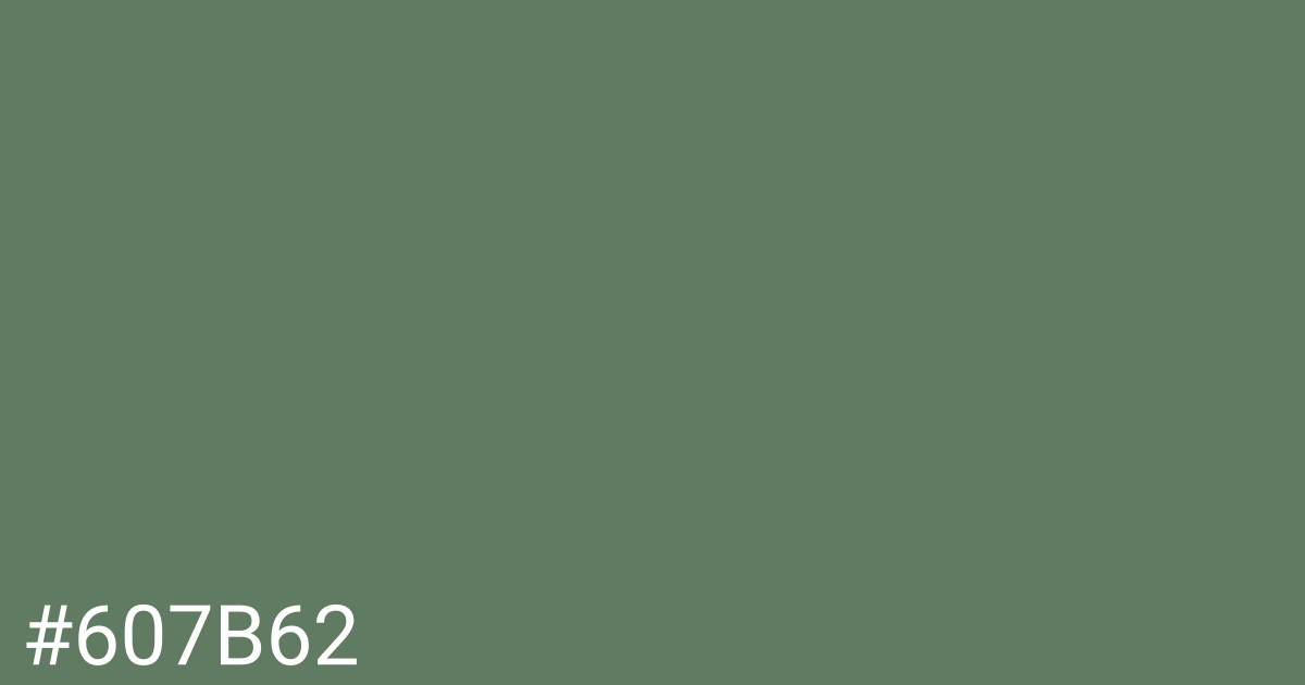 Hex color #607b62 graphic