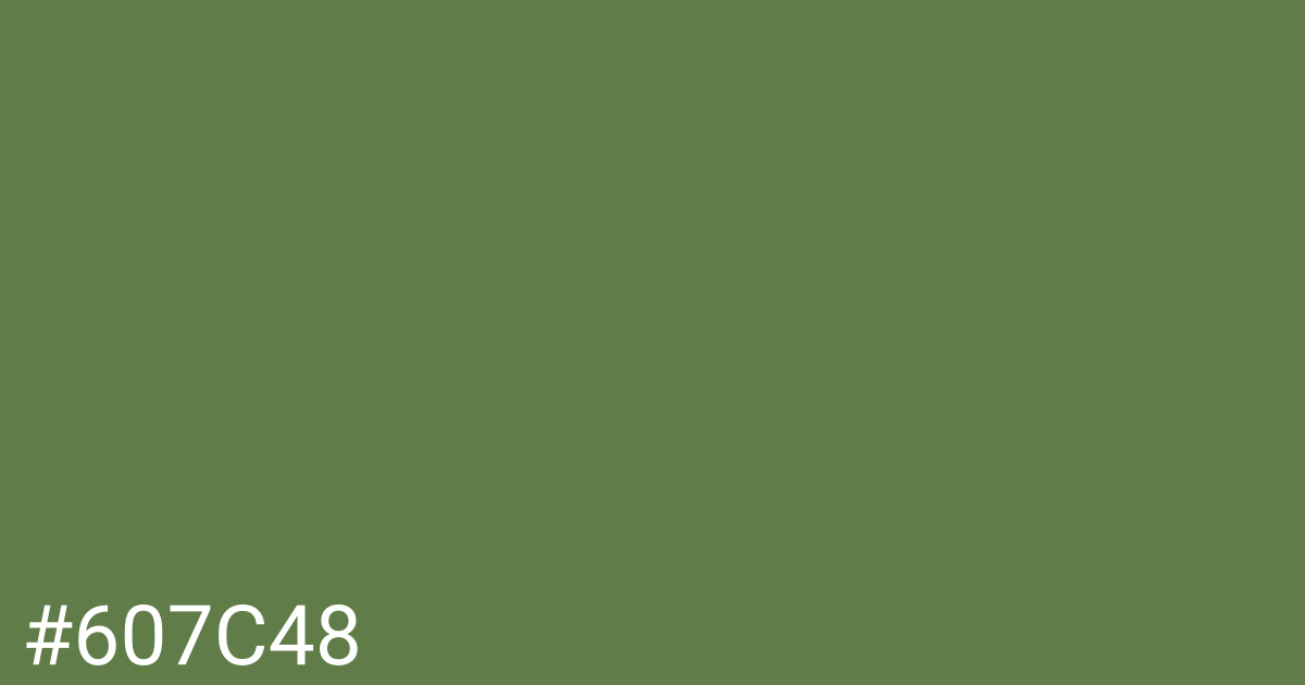 Hex color #607c48 graphic