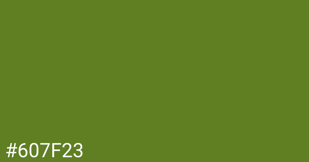 Hex color #607f23 graphic