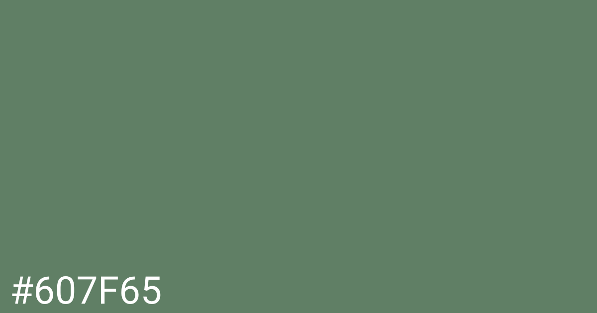 Hex color #607f65 graphic