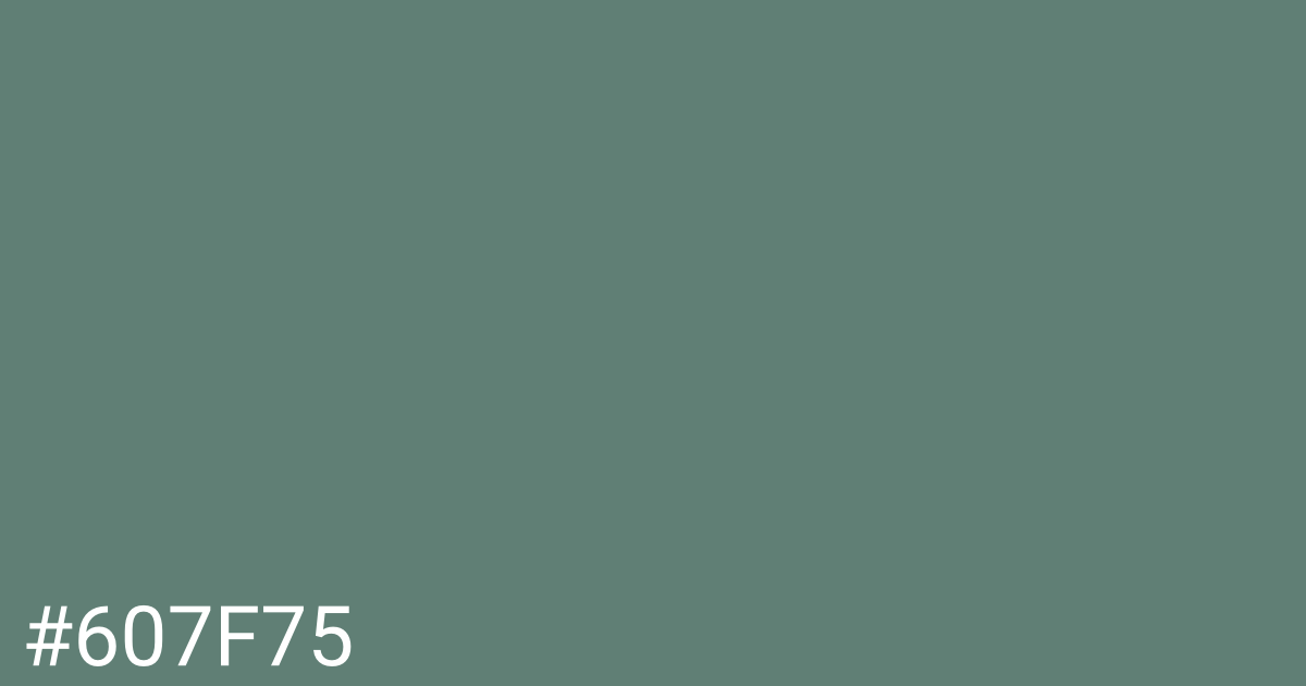 Hex color #607f75 graphic