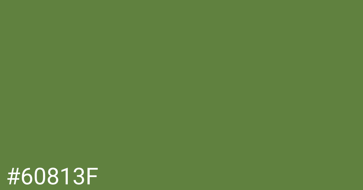 Hex color #60813f graphic