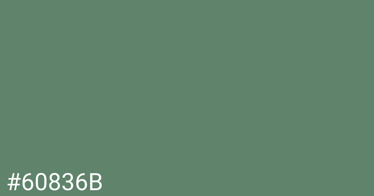 Hex color #60836b graphic