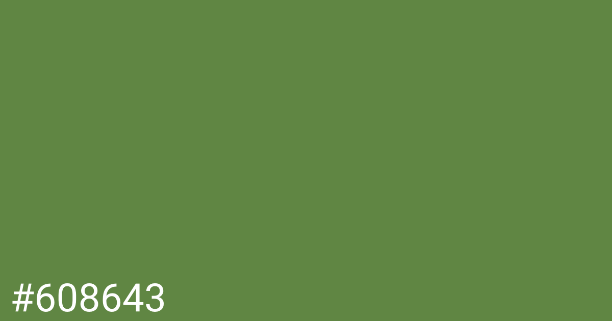 Hex color #608643 graphic