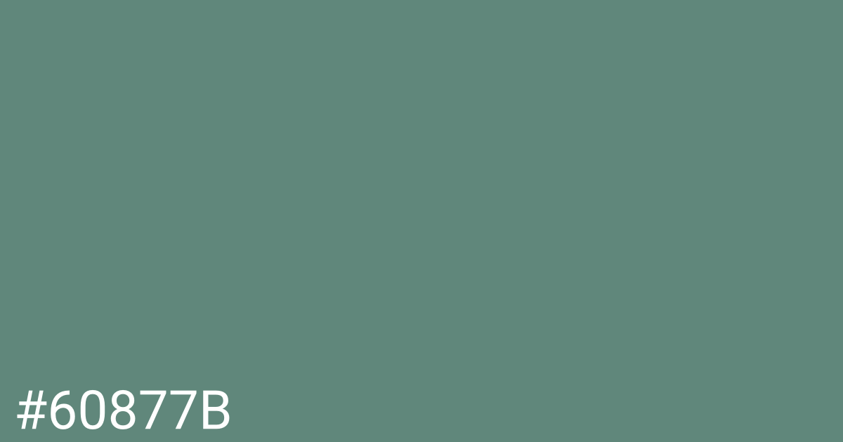 Hex color #60877b graphic