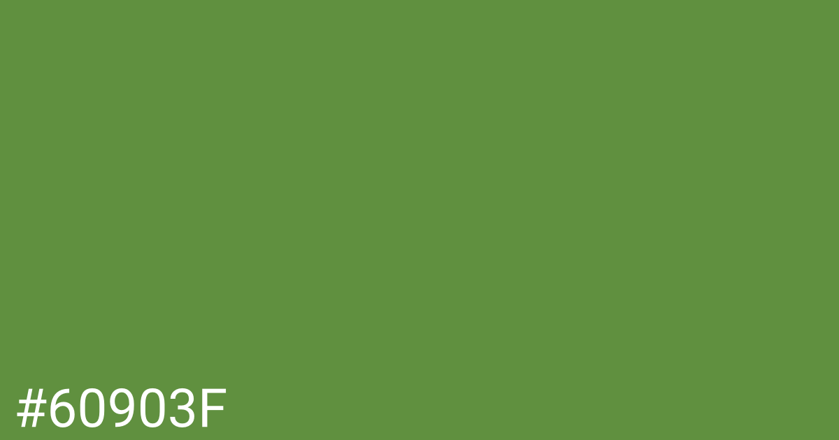 Hex color #60903f graphic