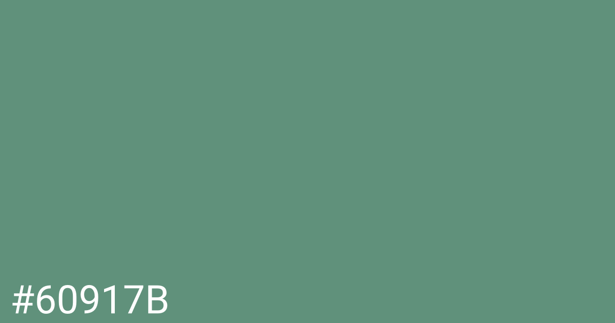 Hex color #60917b graphic