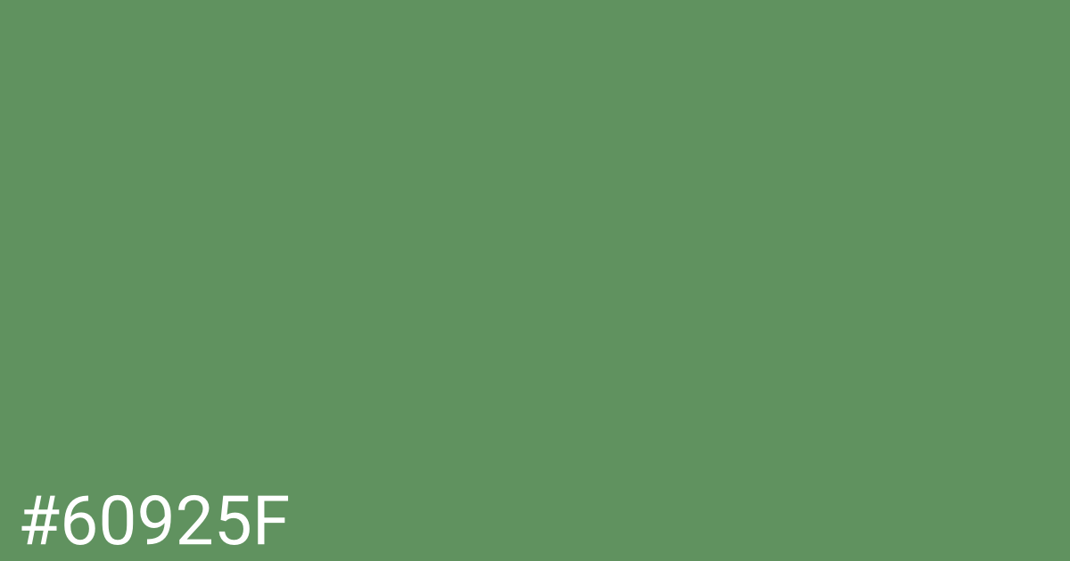 Hex color #60925f graphic