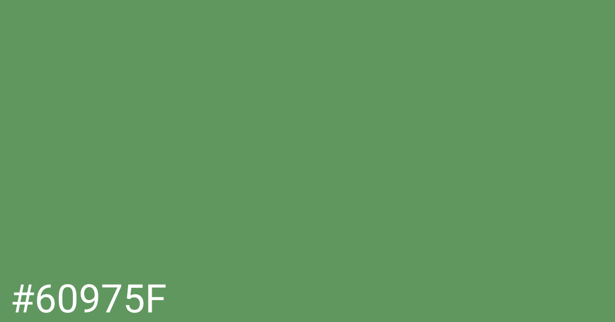 Hex color #60975f graphic