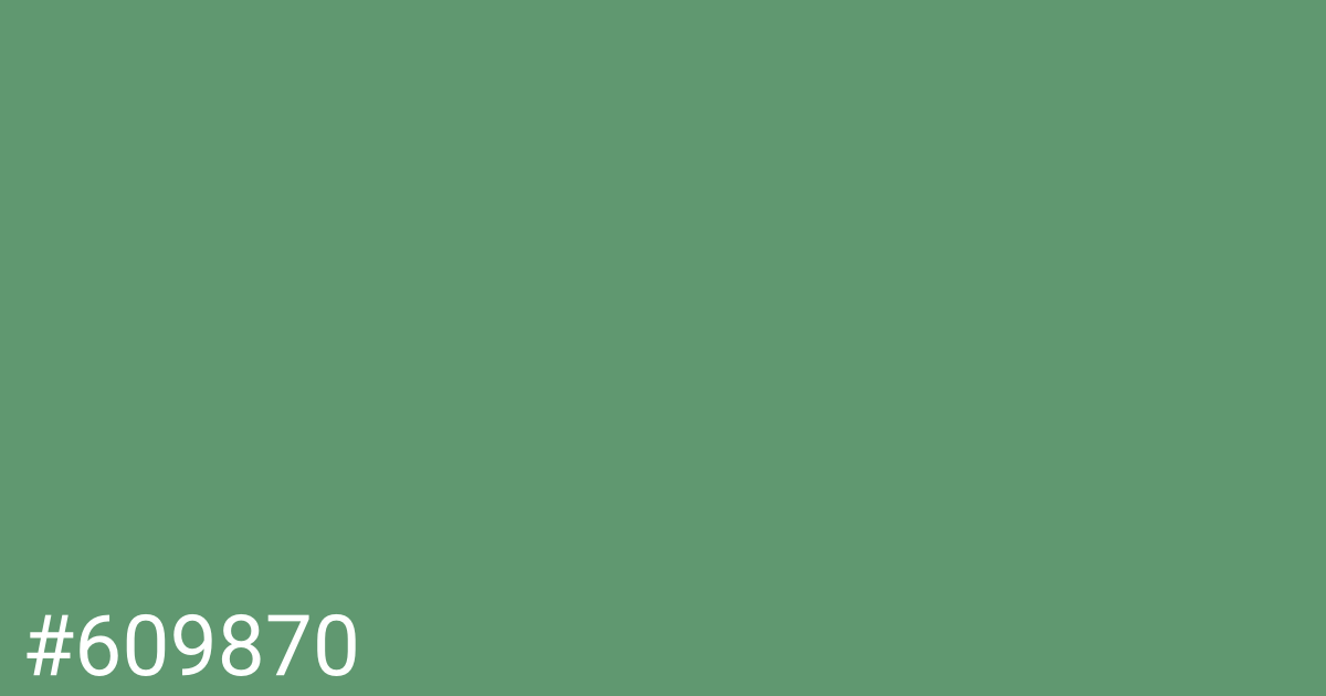 Hex color #609870 graphic