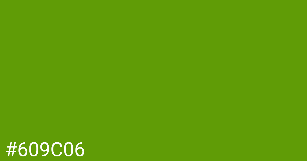 Hex color #609c06 graphic