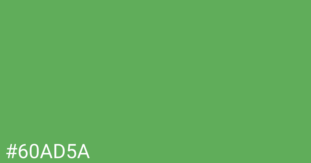 Hex color #60ad5a graphic
