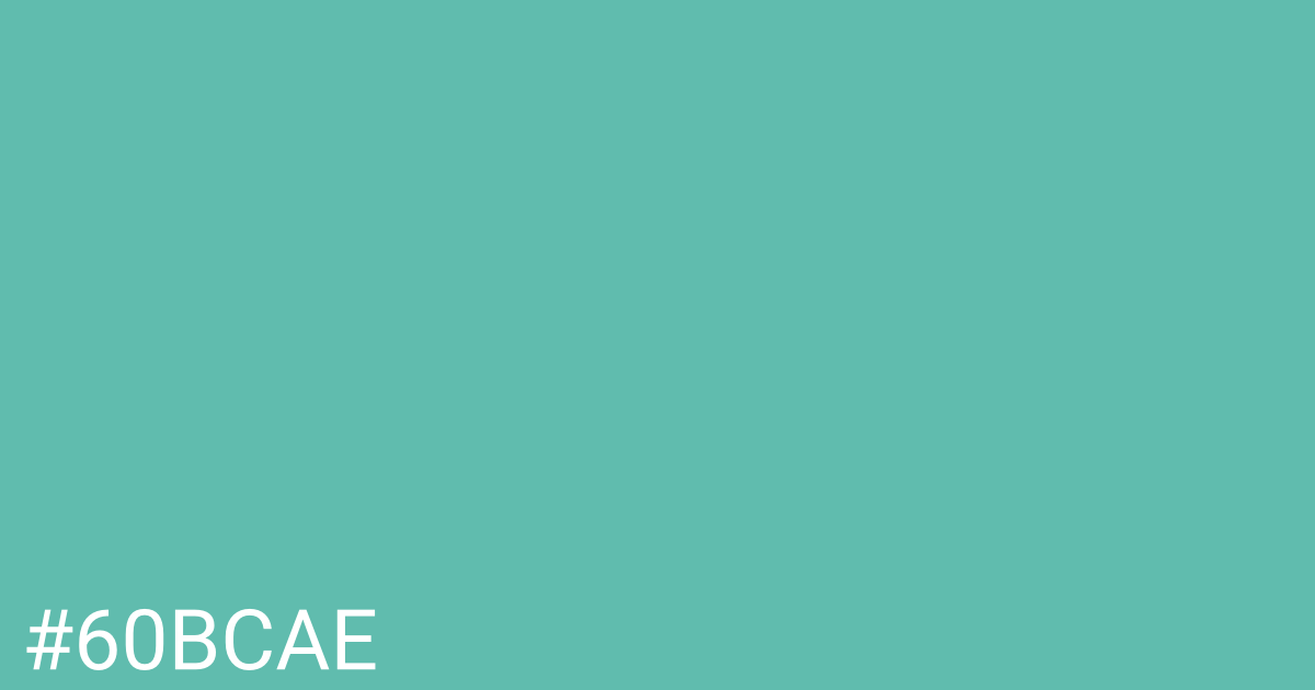 Hex color #60bcae graphic