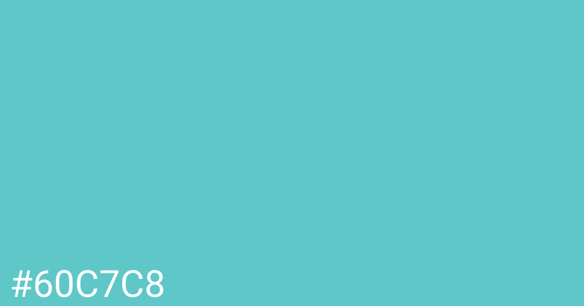 Hex color #60c7c8 graphic