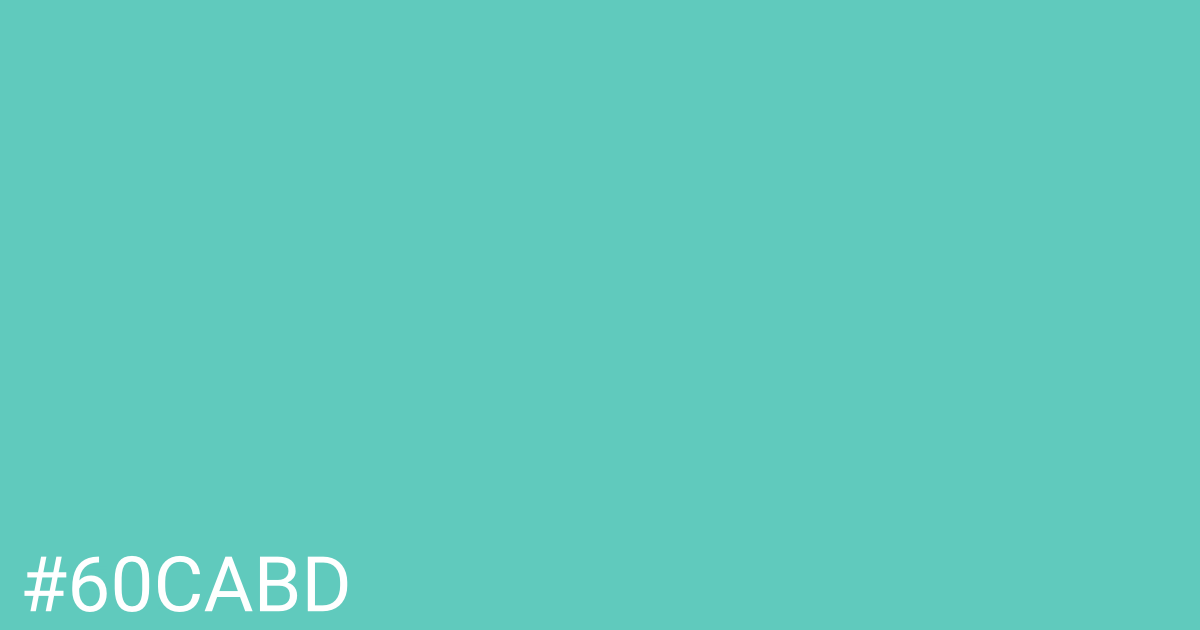 Hex color #60cabd graphic