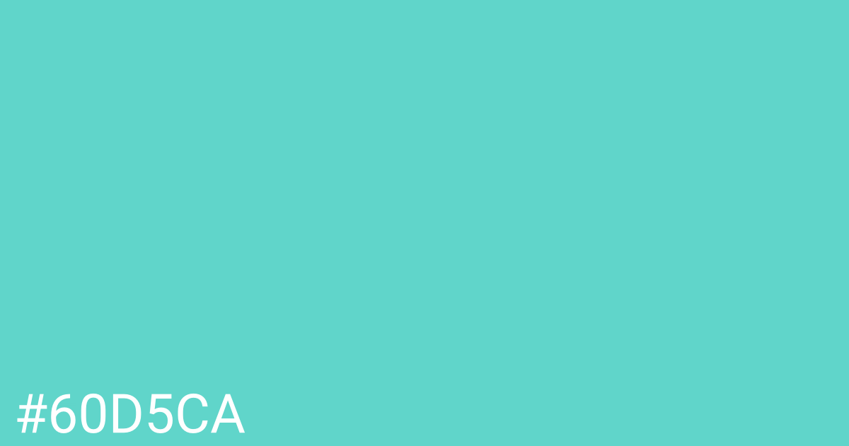 Hex color #60d5ca graphic
