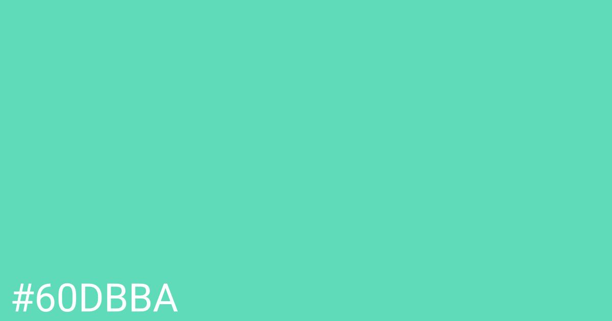 Hex color #60dbba graphic