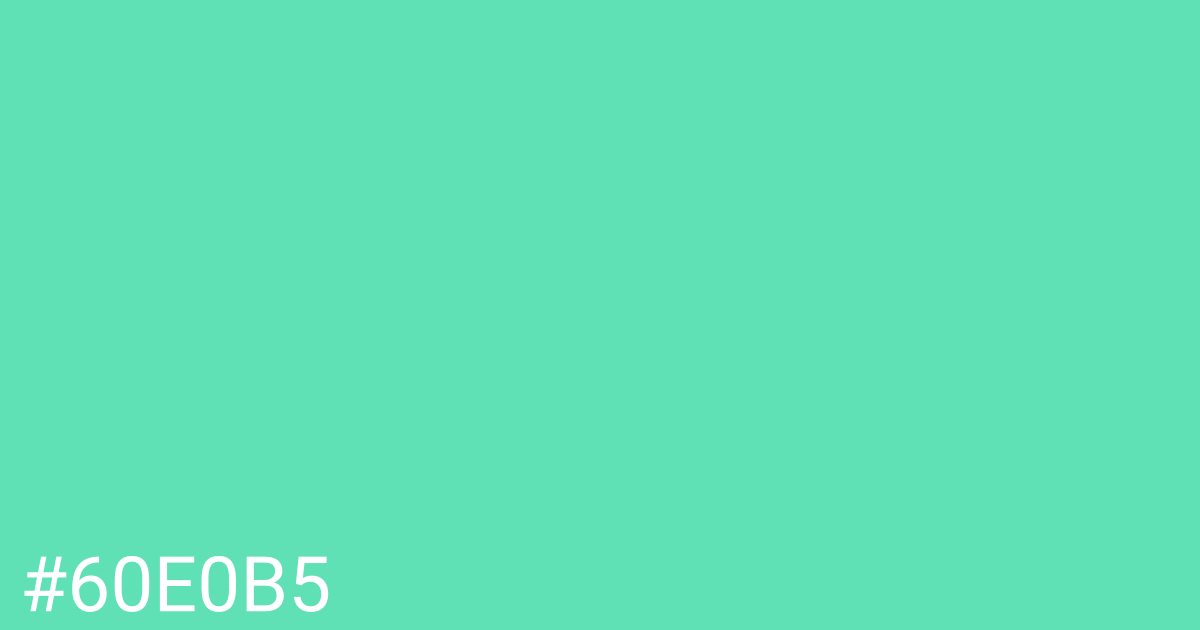 Hex color #60e0b5 graphic