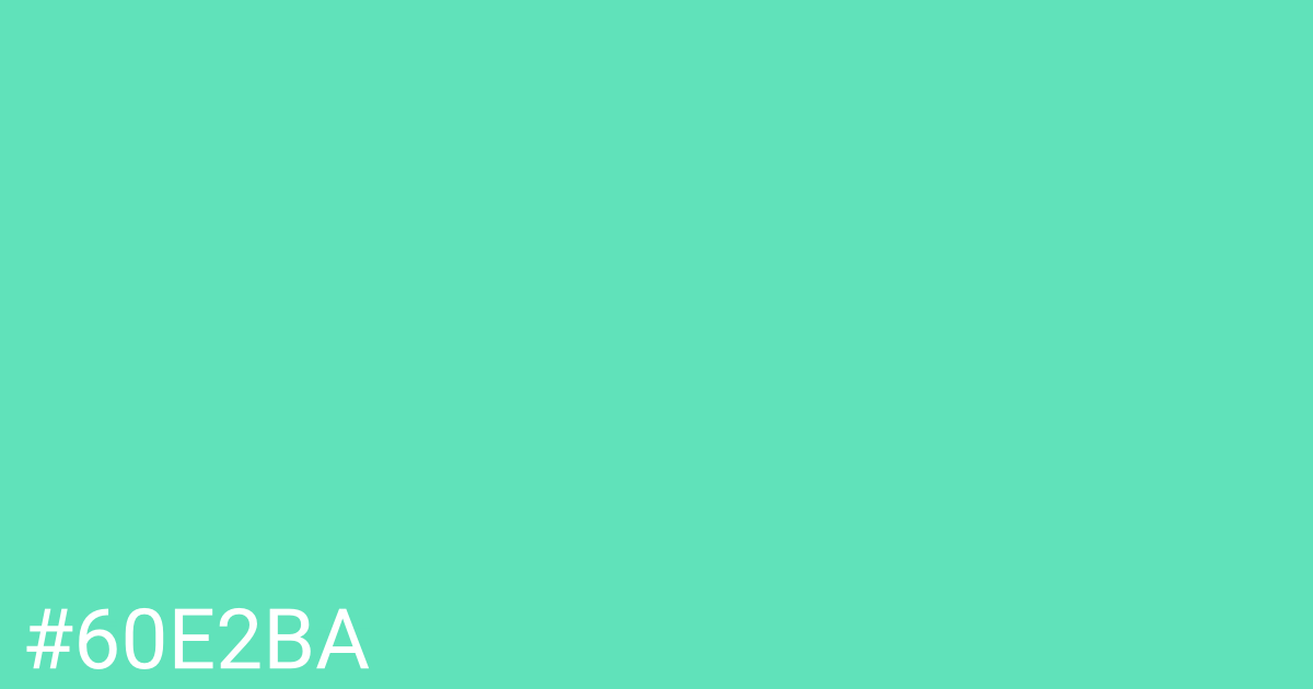 Hex color #60e2ba graphic