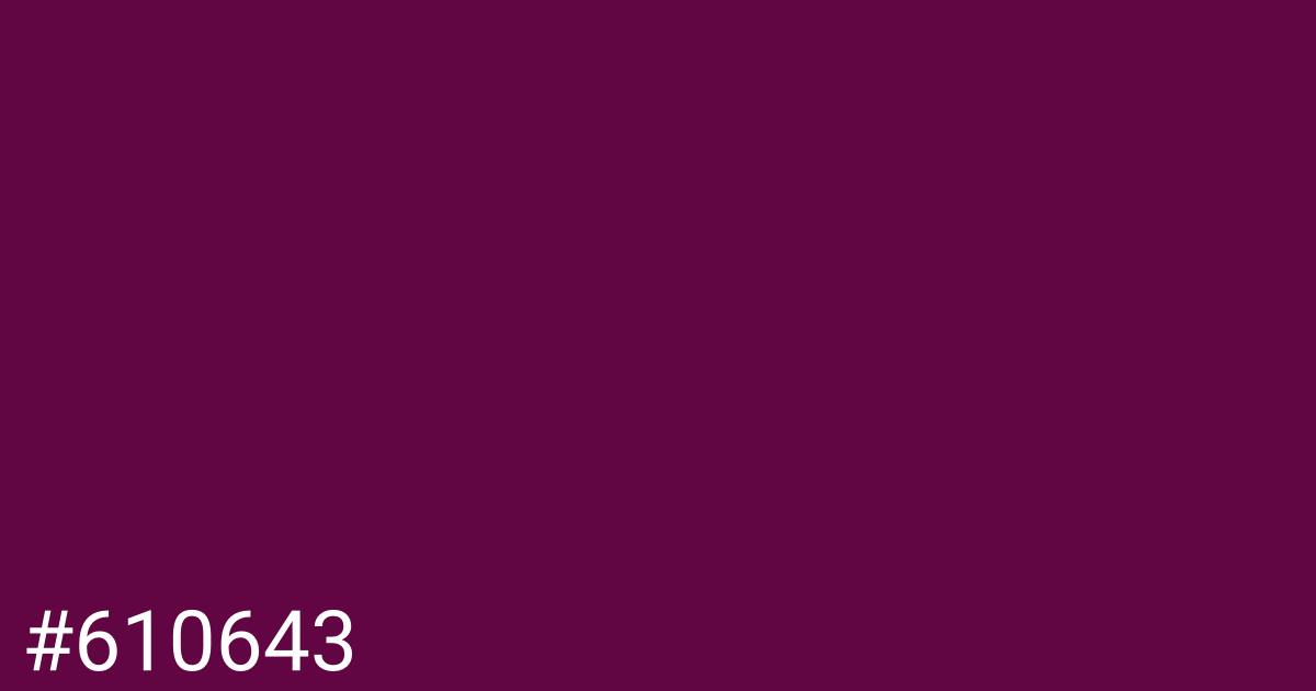 Hex color #610643 graphic