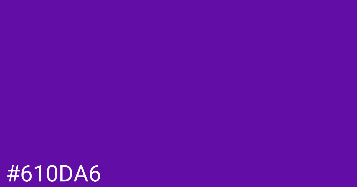 Hex color #610da6 graphic