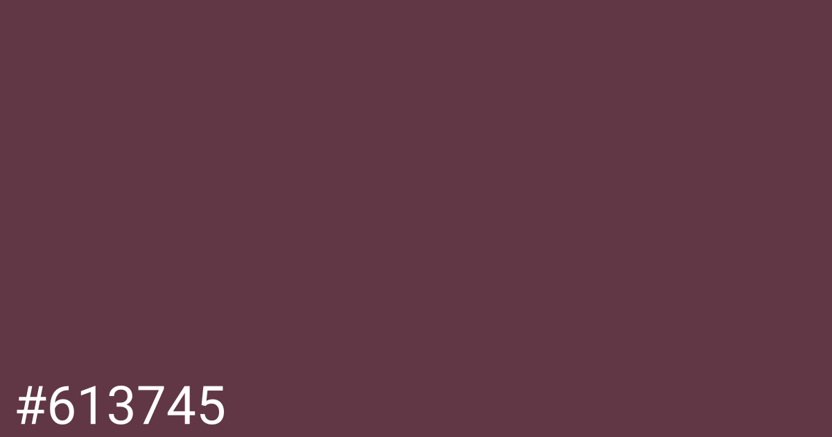 Hex color #613745 graphic