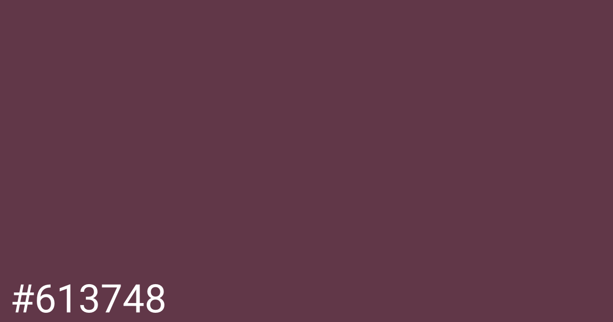 Hex color #613748 graphic