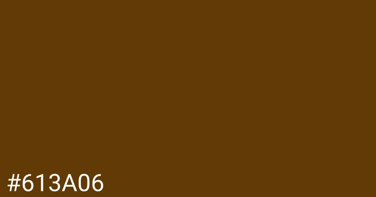 Hex color #613a06 graphic