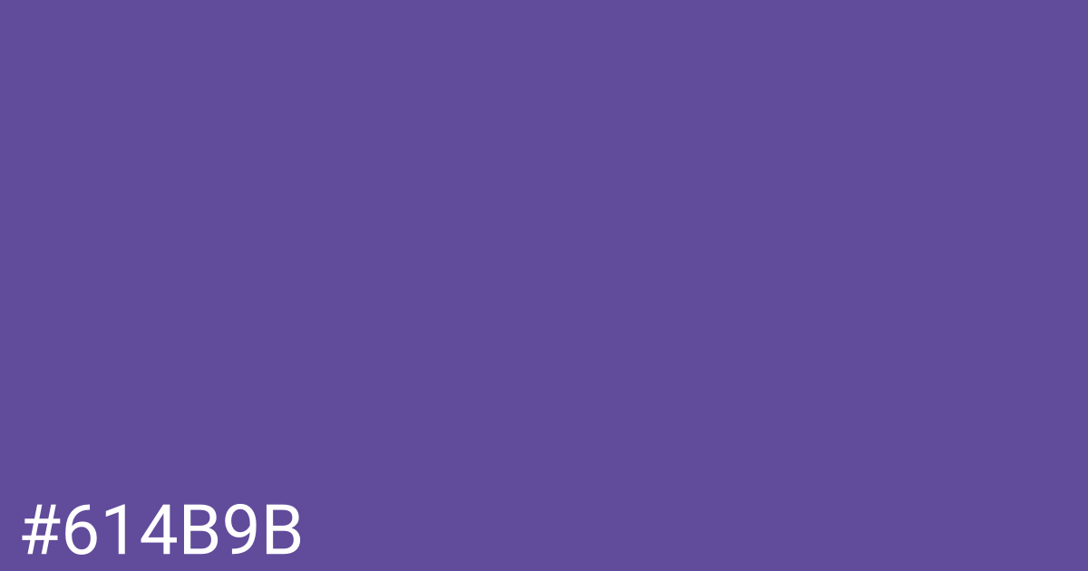 Hex color #614b9b graphic