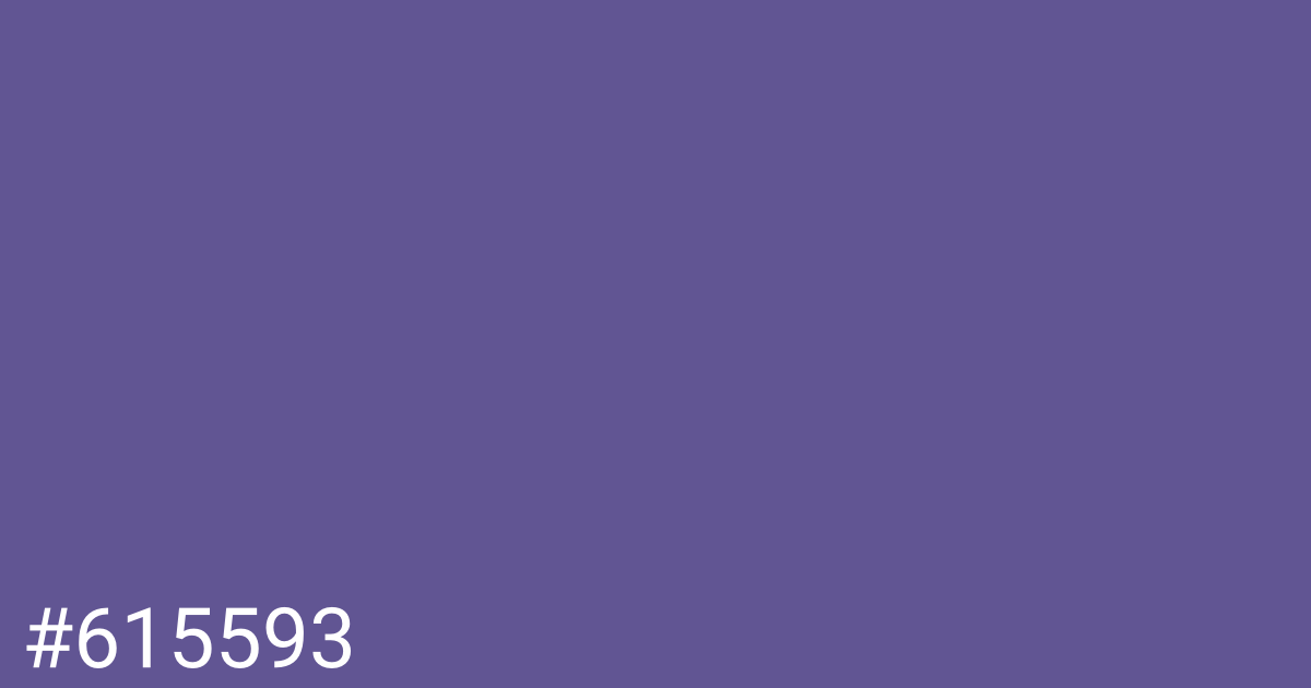 Hex color #615593 graphic