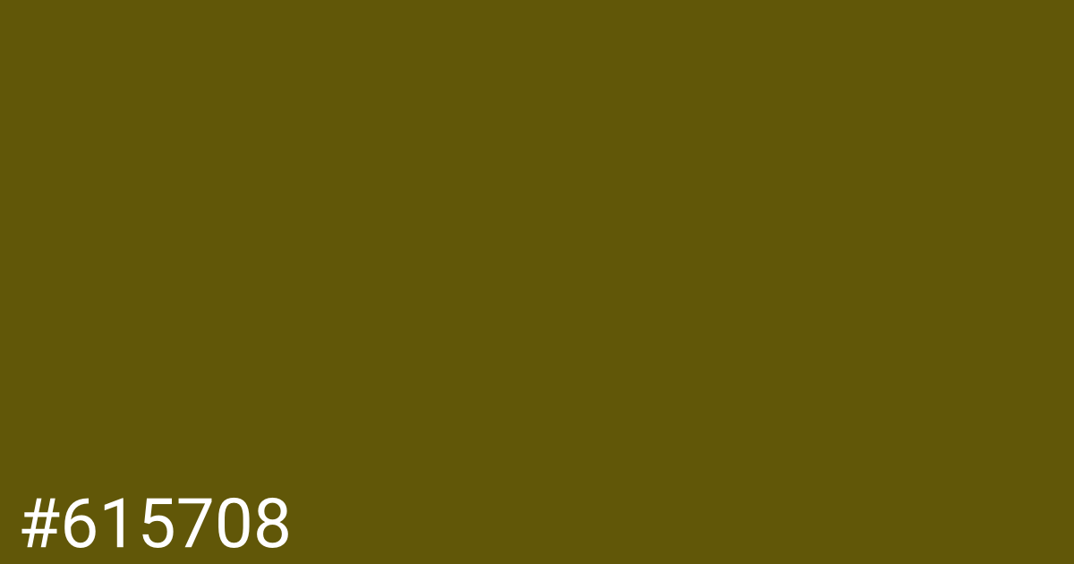 Hex color #615708 graphic