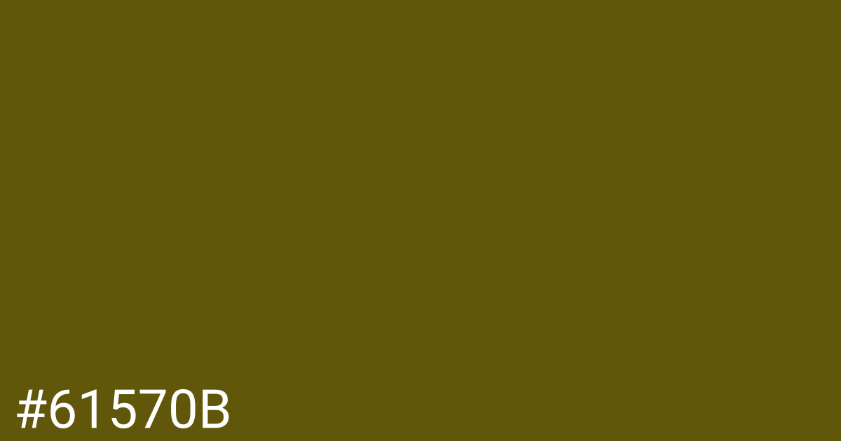 Hex color #61570b graphic