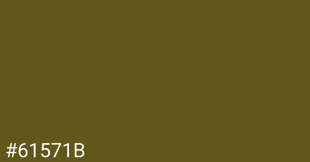 Hex color #61571b graphic