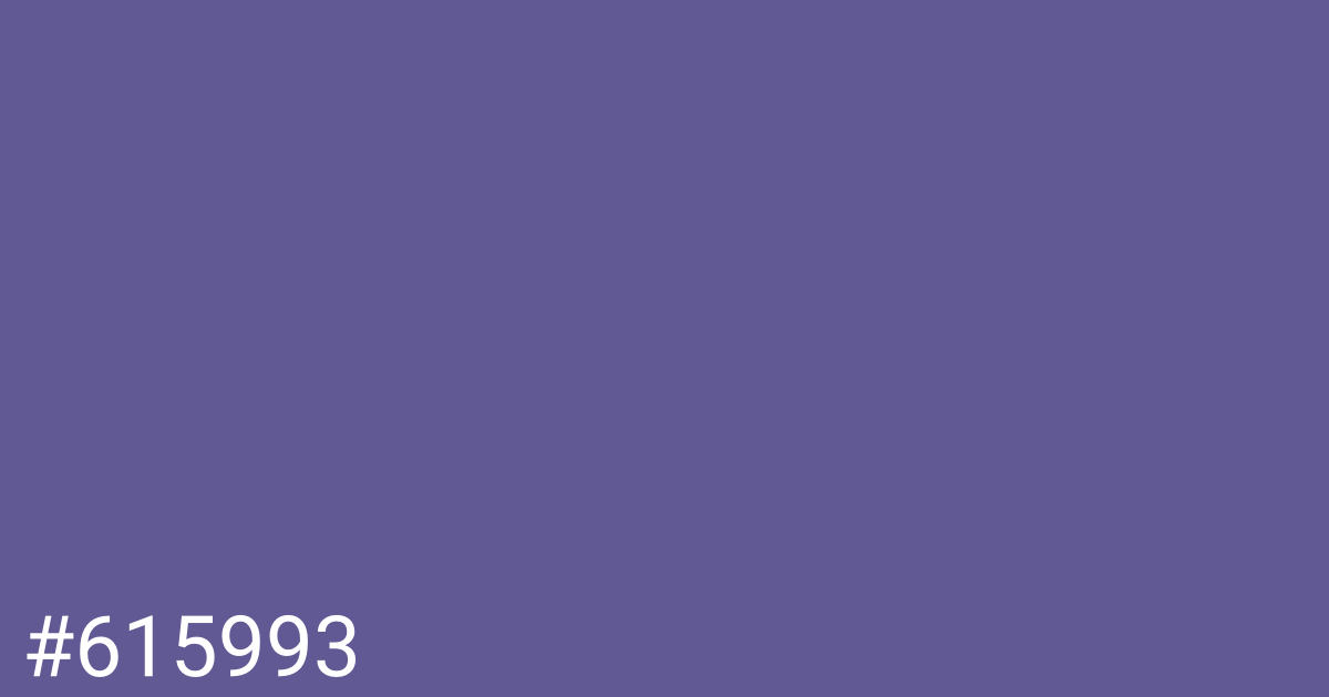 Hex color #615993 graphic