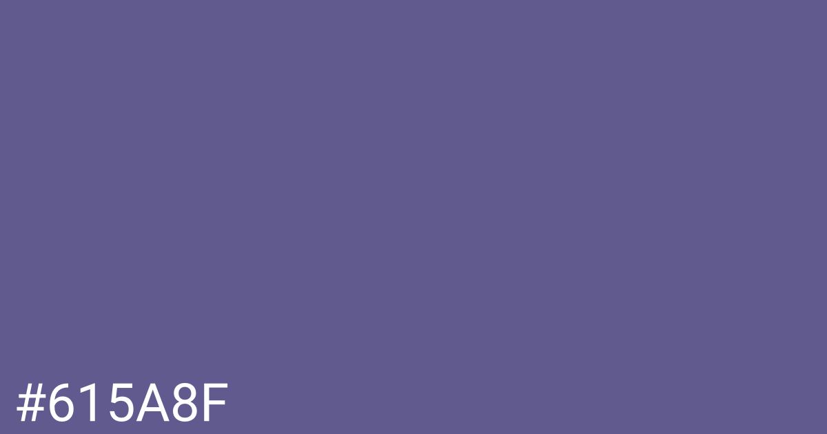 Hex color #615a8f graphic