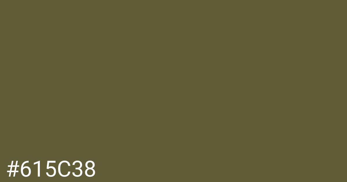 Hex color #615c38 graphic