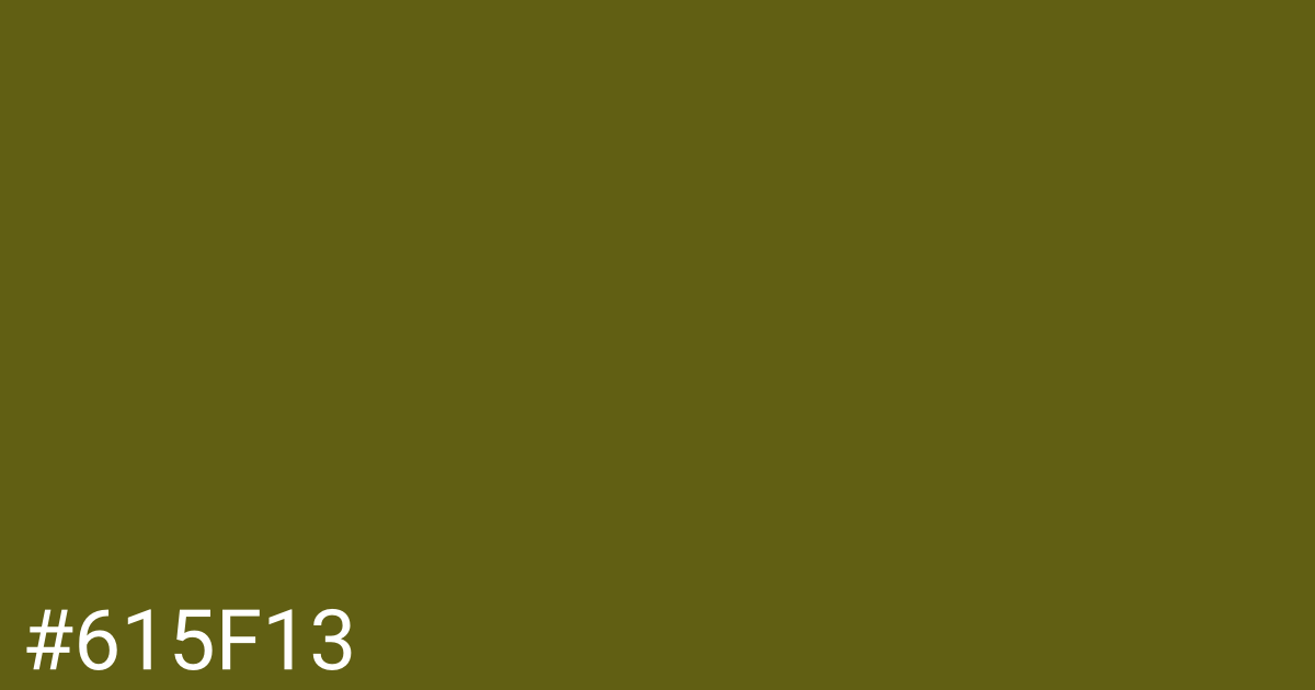 Hex color #615f13 graphic