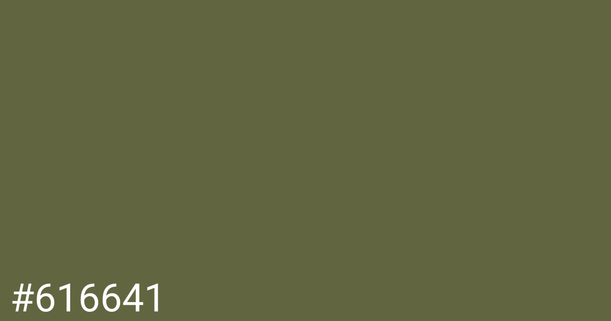 Hex color #616641 graphic