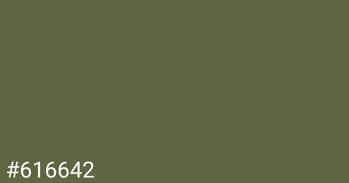 Hex color #616642 graphic